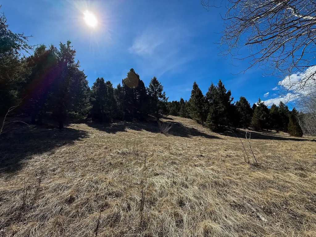 Tbd Lone Pine Gulch Road Ramsay MT 59748