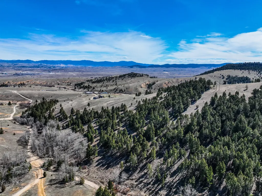Tbd Lone Pine Gulch Road Ramsay MT 59748