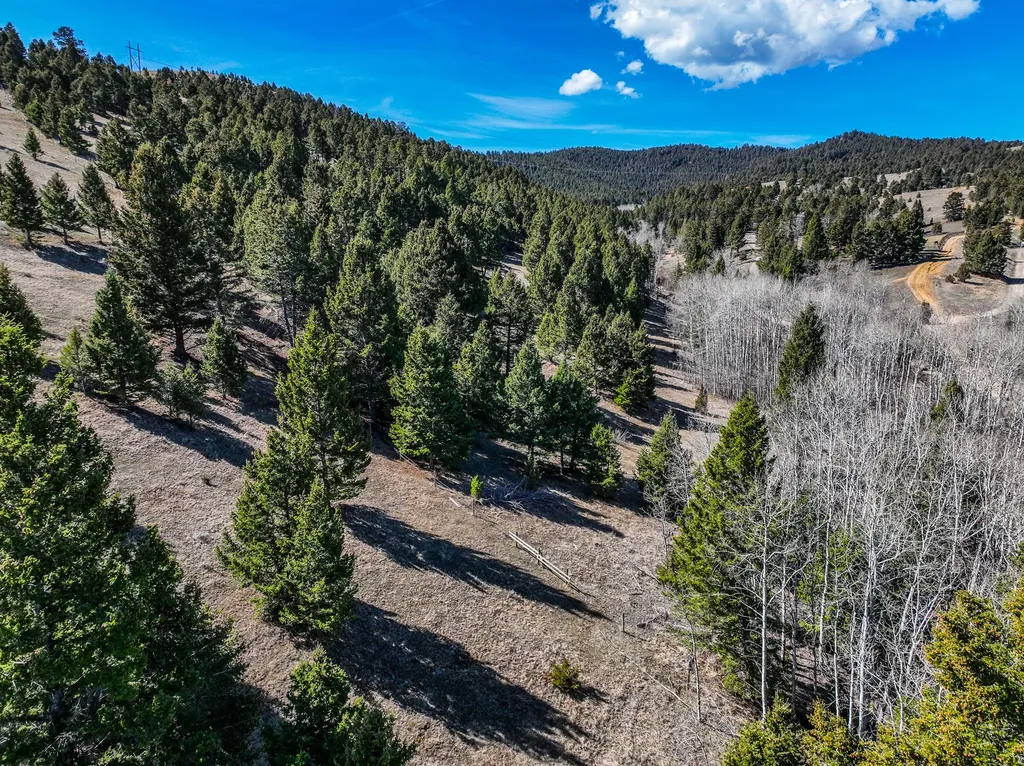 Tbd Lone Pine Gulch Road Ramsay MT 59748