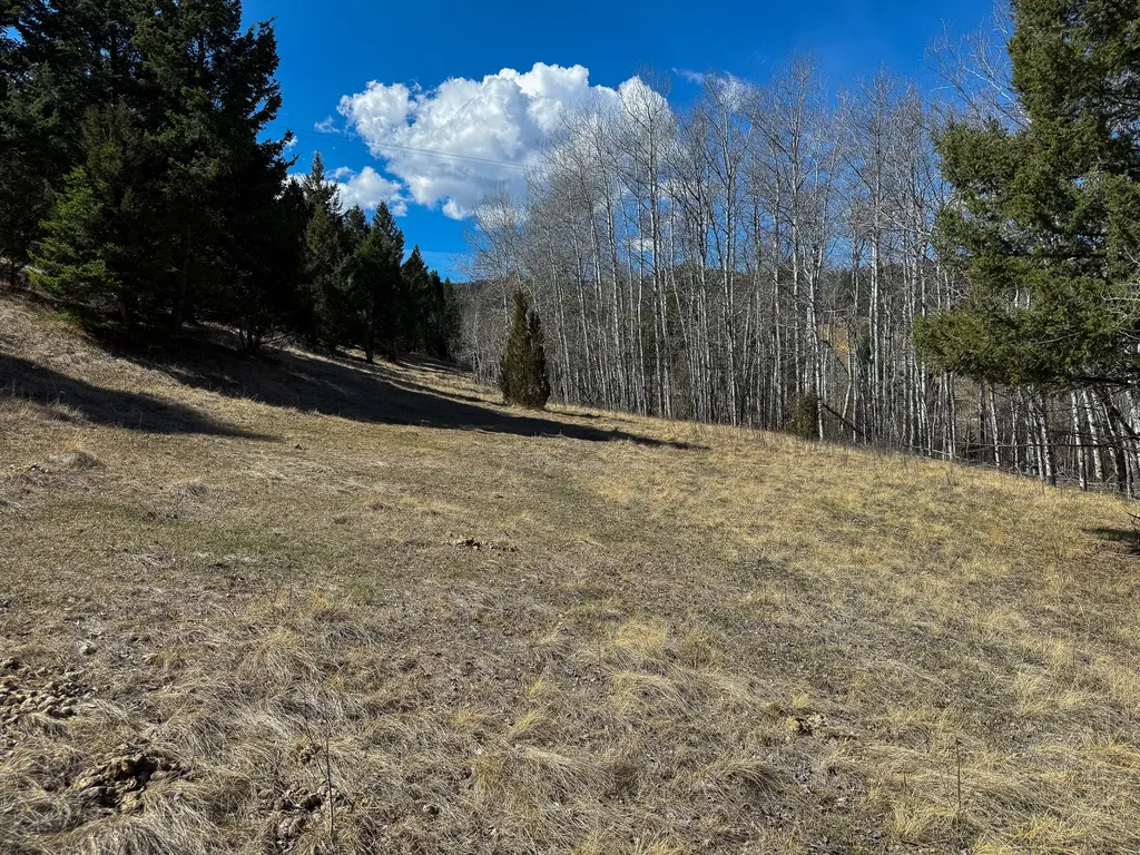 Tbd Lone Pine Gulch Road Ramsay MT 59748