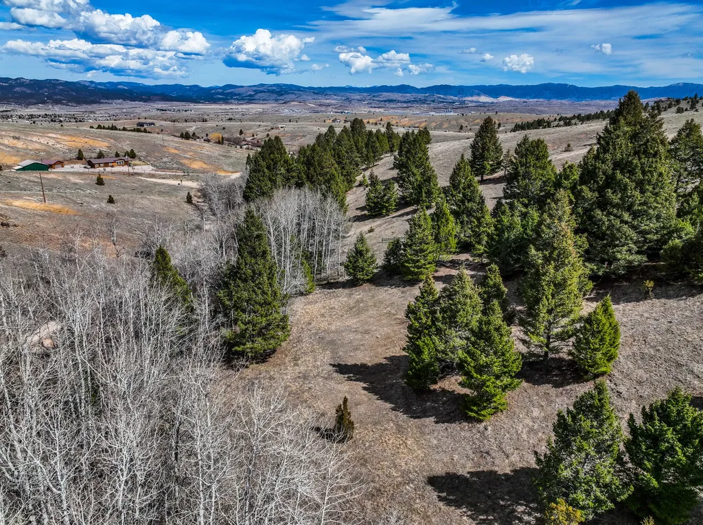 Tbd Lone Pine Gulch Road Ramsay MT 59748