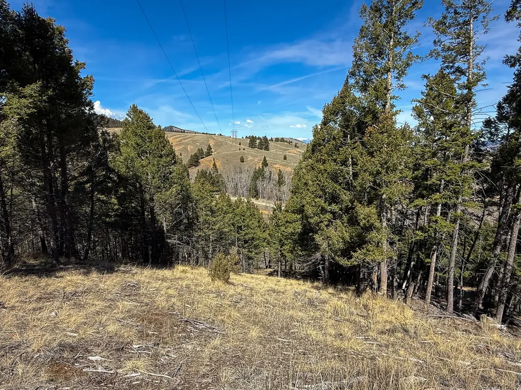 Tbd Lone Pine Gulch Road Ramsay MT 59748