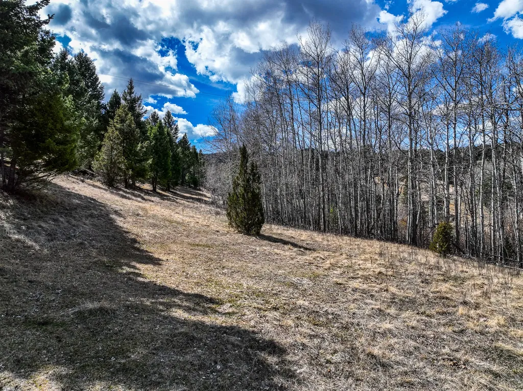 Tbd Lone Pine Gulch Road Ramsay MT 59748