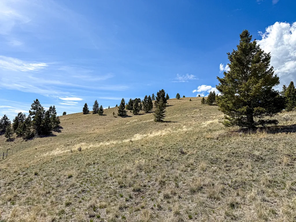 Tbd Lone Pine Gulch Road Ramsay MT 59748
