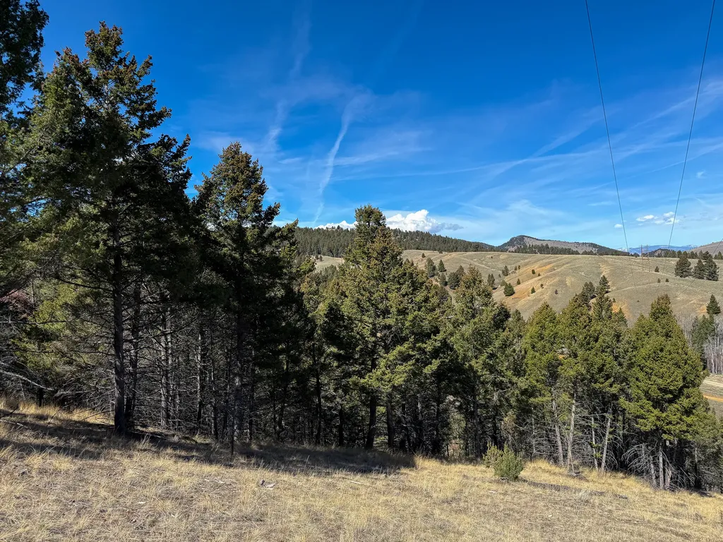 Tbd Lone Pine Gulch Road Ramsay MT 59748