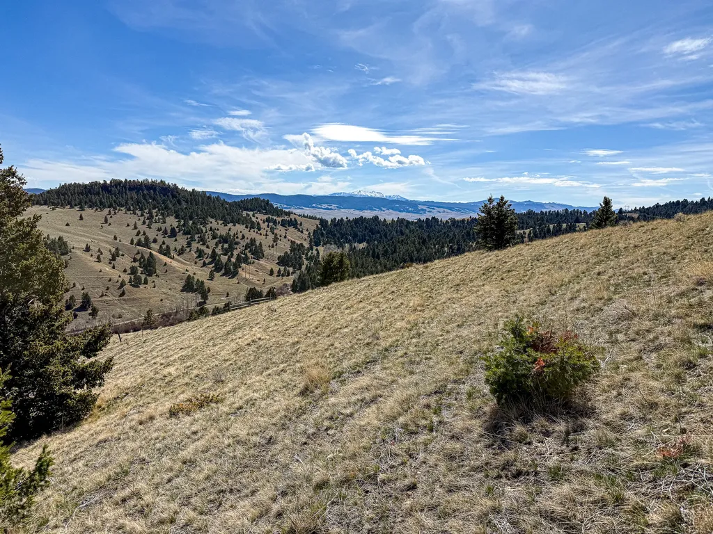 Tbd Lone Pine Gulch Road Ramsay MT 59748