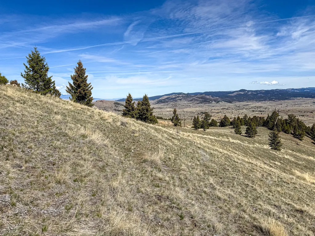 Tbd Lone Pine Gulch Road Ramsay MT 59748