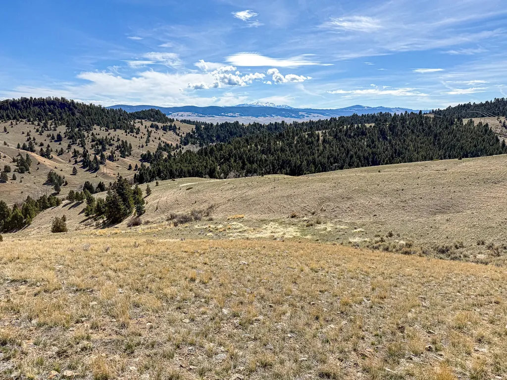 Tbd Lone Pine Gulch Road Ramsay MT 59748