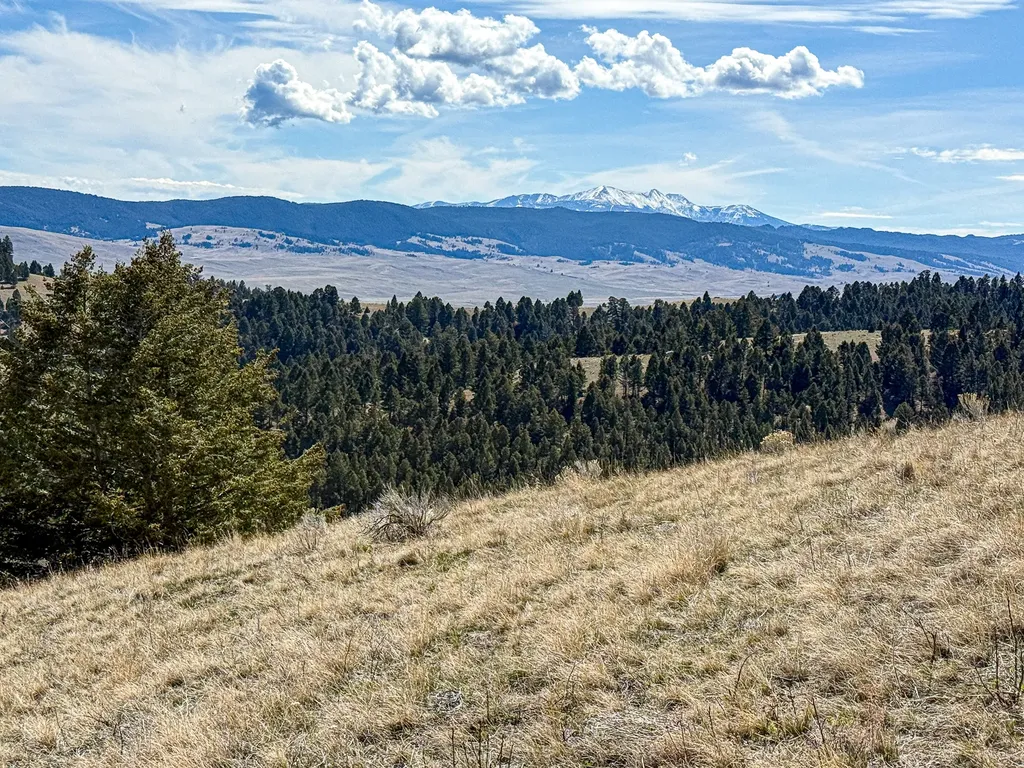 Tbd Lone Pine Gulch Road Ramsay MT 59748