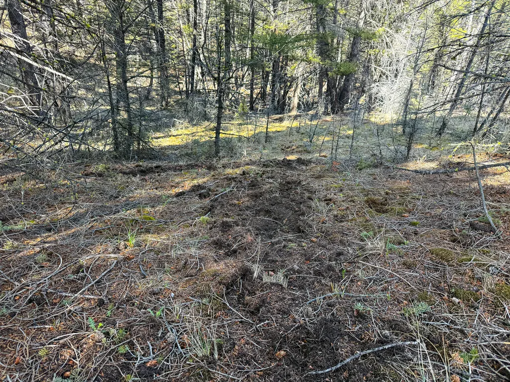 Tbd Lone Pine Gulch Road Ramsay MT 59748
