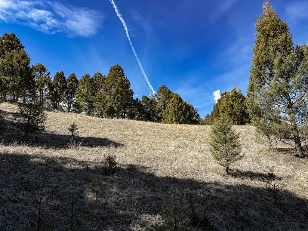 Tbd Lone Pine Gulch Road Ramsay MT 59748