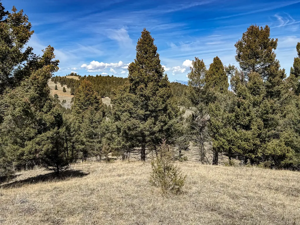 Tbd Lone Pine Gulch Road Ramsay MT 59748