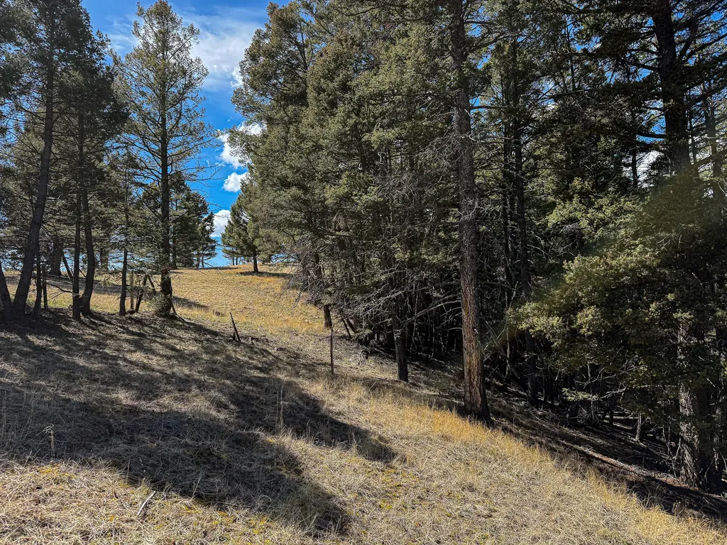 Tbd Lone Pine Gulch Road Ramsay MT 59748