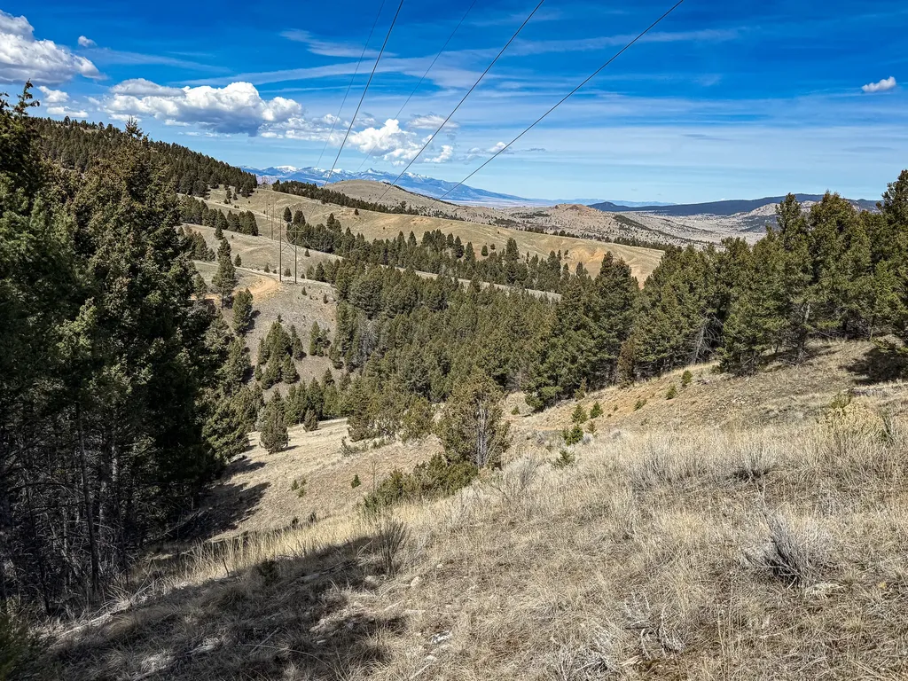 Tbd Lone Pine Gulch Road Ramsay MT 59748