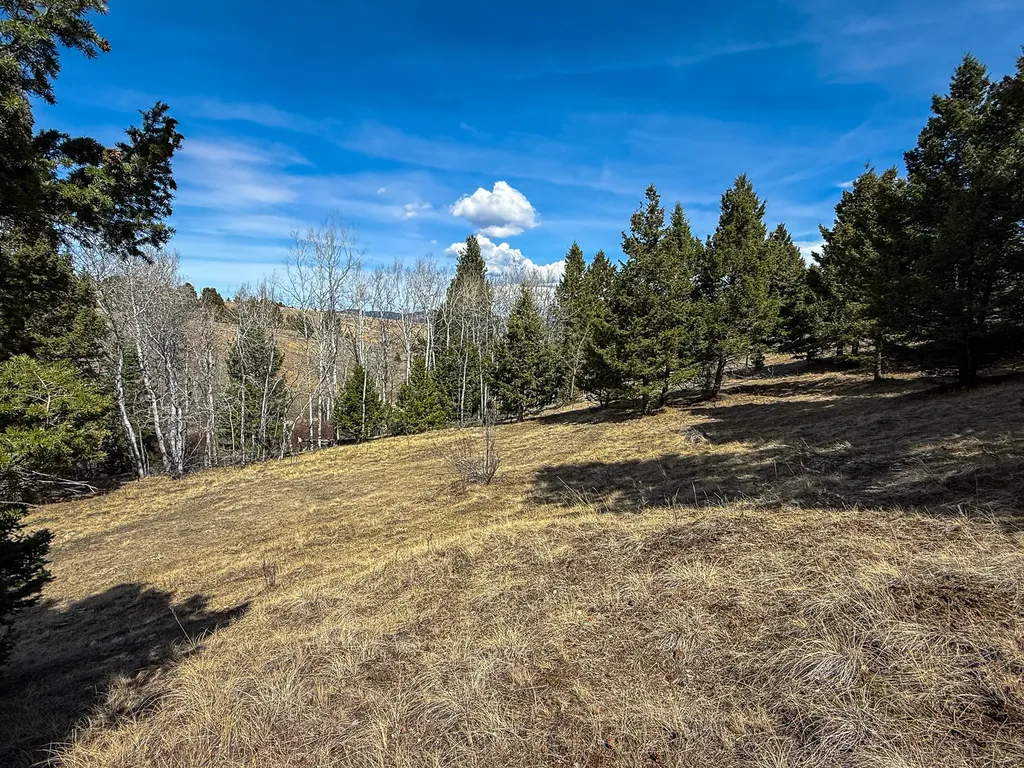 Tbd Lone Pine Gulch Road Ramsay MT 59748