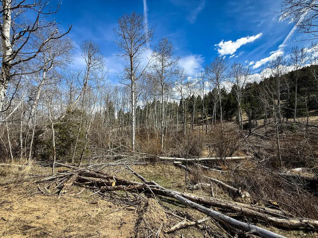Tbd Lone Pine Gulch Road Ramsay MT 59748