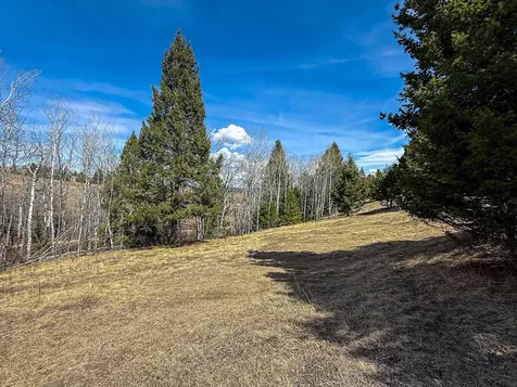 TBD Lone Pine Gulch Road Ramsay MT 59748