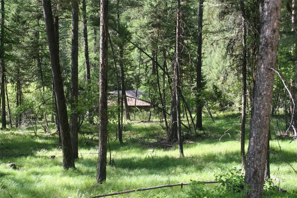 1450 Kienas Road Kalispell MT 59901