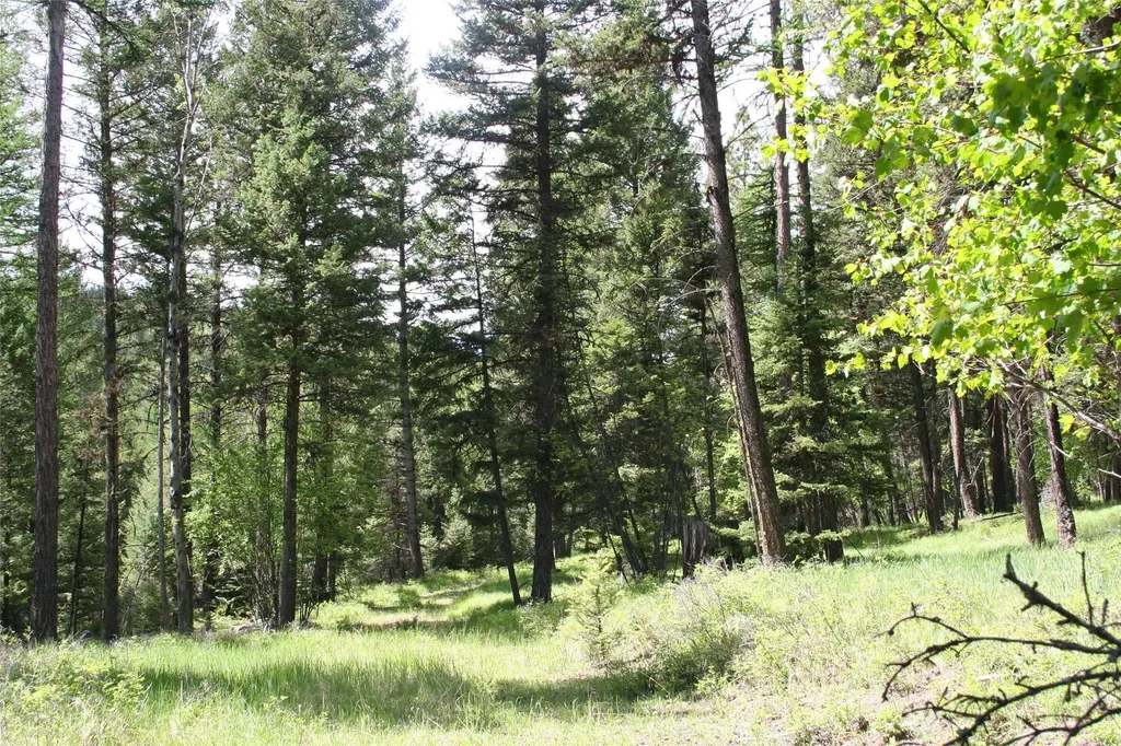 1450 Kienas Road Kalispell MT 59901