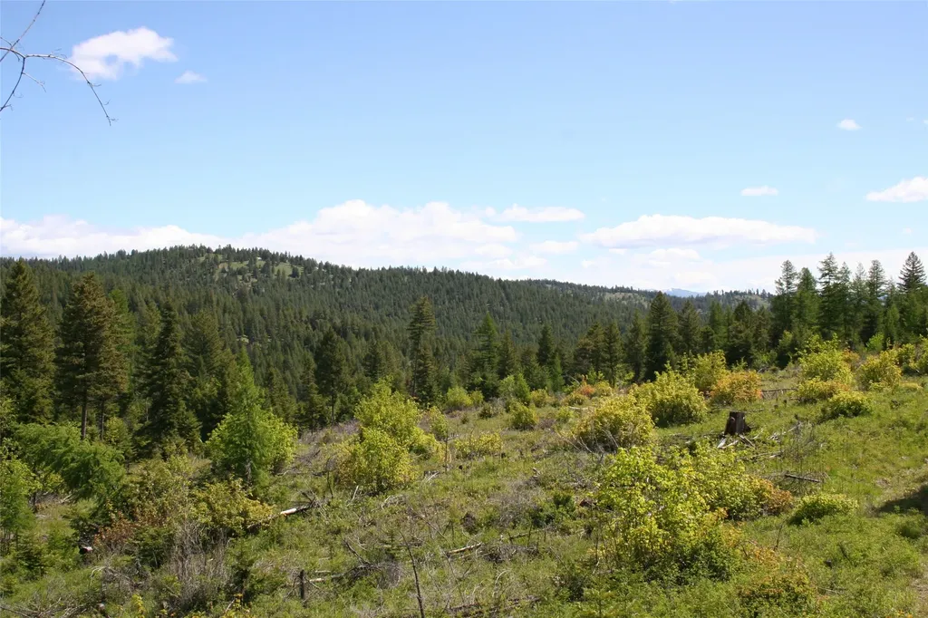 1450 Kienas Road Kalispell MT 59901