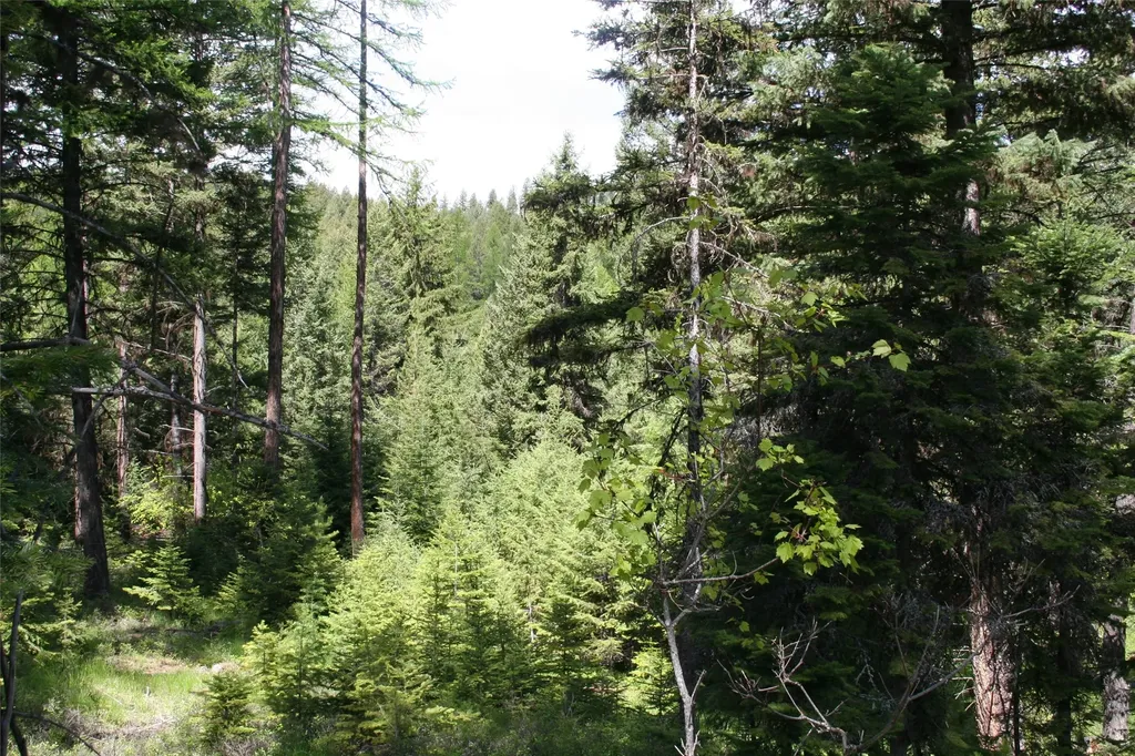 1450 Kienas Road Kalispell MT 59901
