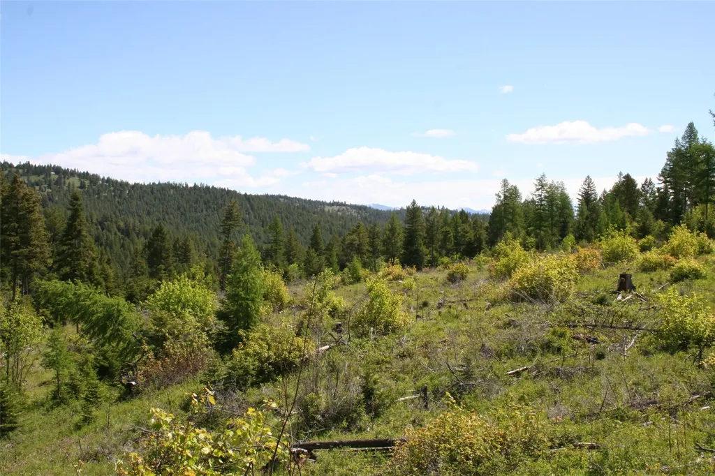1450 Kienas Road Kalispell MT 59901