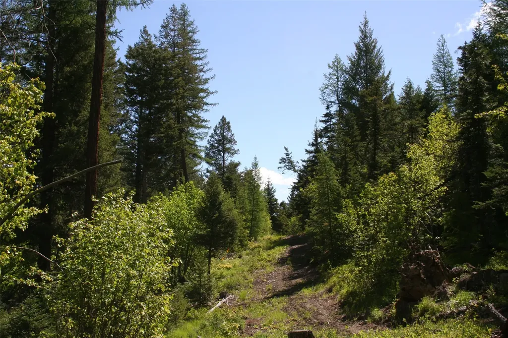 1450 Kienas Road Kalispell MT 59901