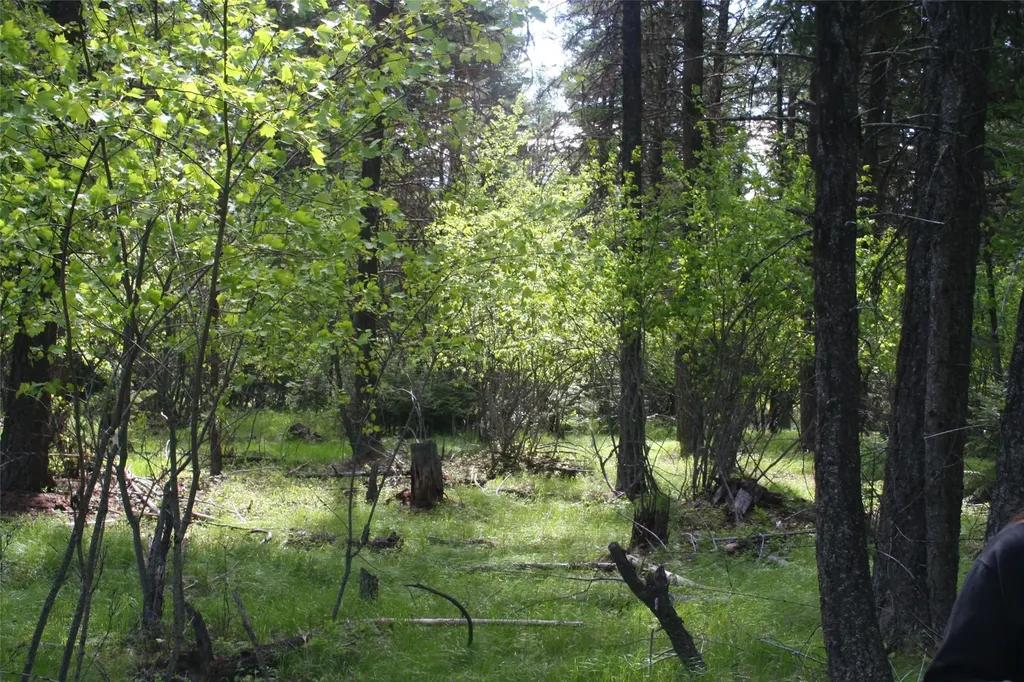 1450 Kienas Road Kalispell MT 59901