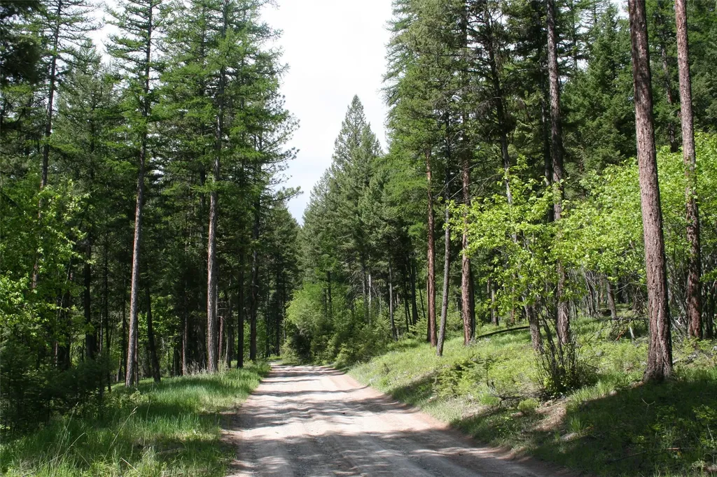 1450 Kienas Road Kalispell MT 59901