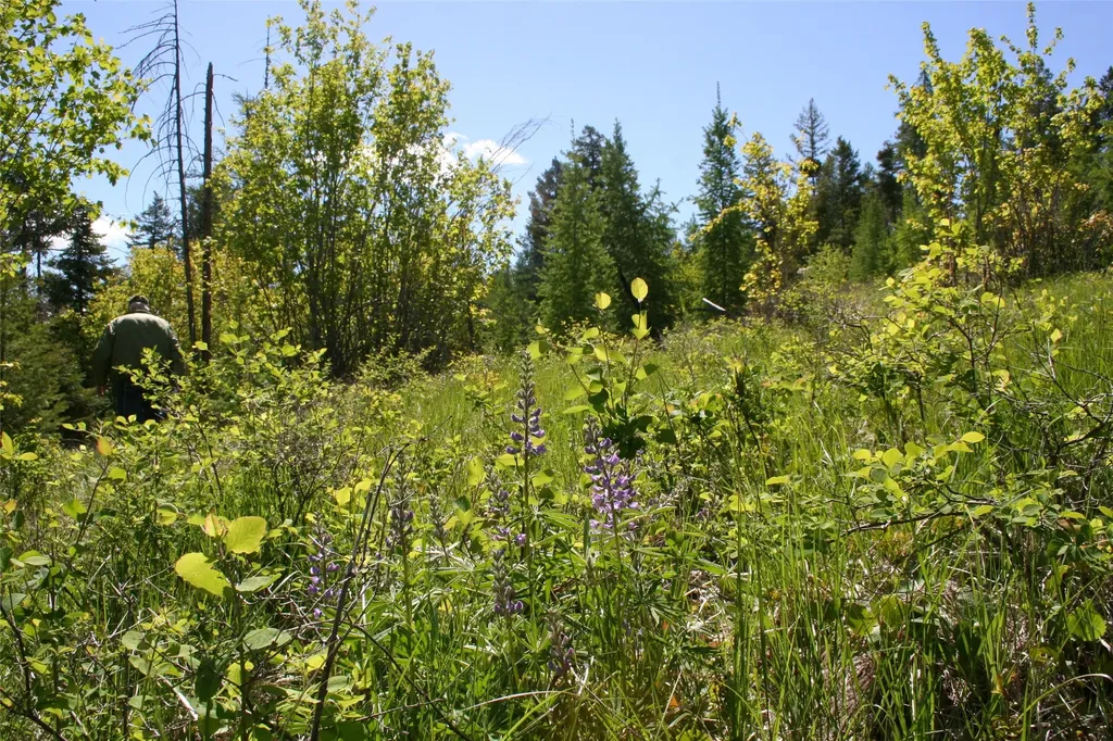 1450 Kienas Road Kalispell MT 59901