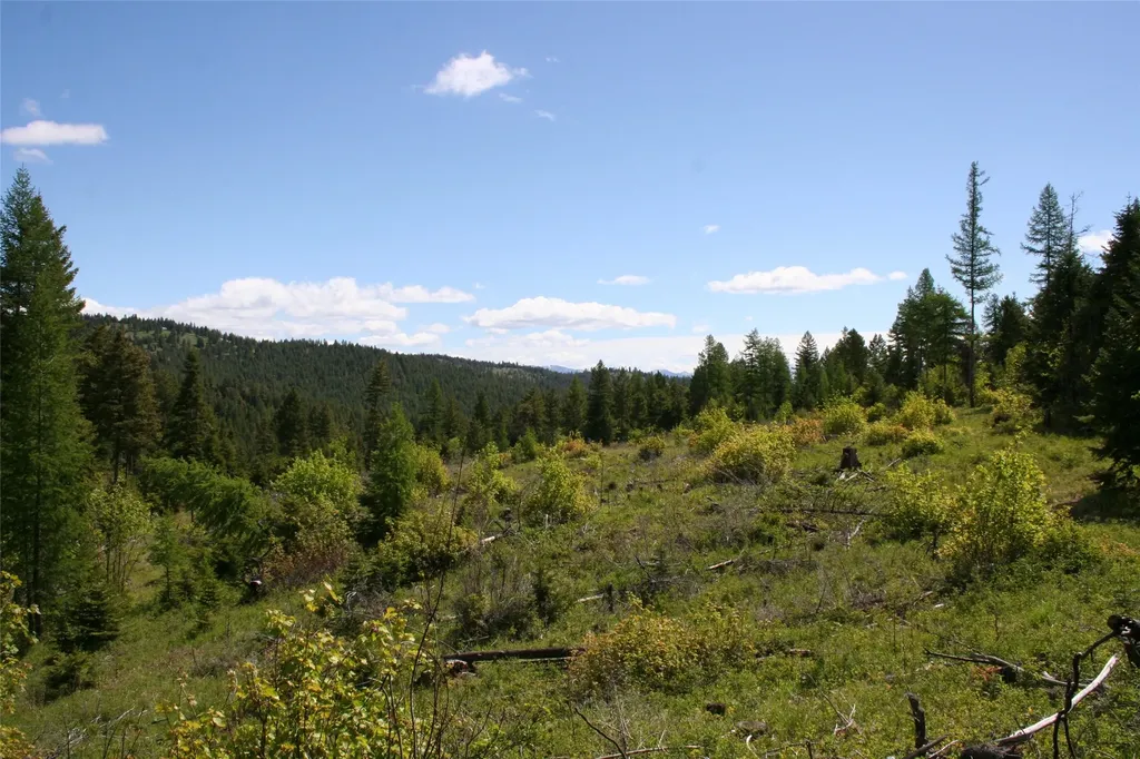 1450 Kienas Road Kalispell MT 59901