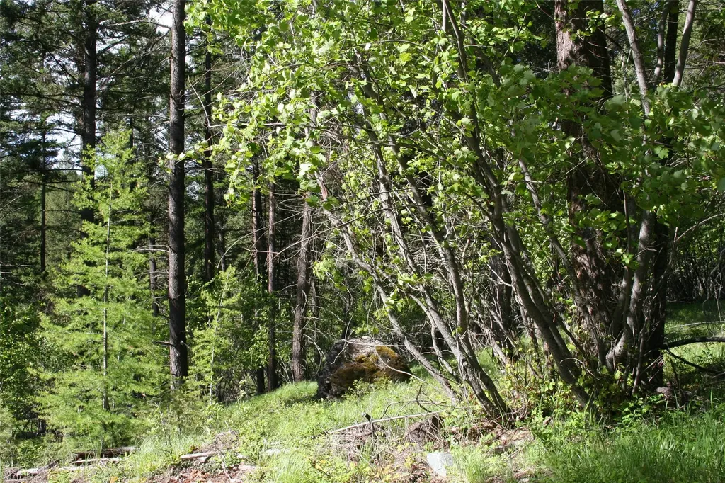 1450 Kienas Road Kalispell MT 59901