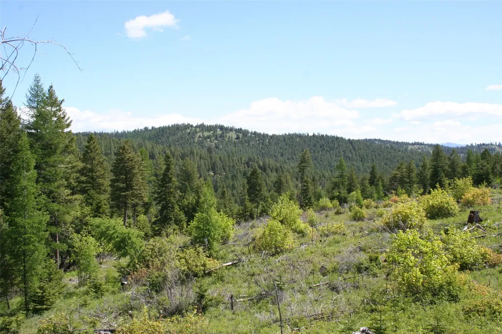 1450 Kienas Road Kalispell MT 59901
