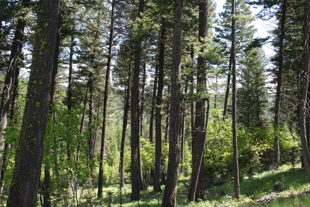 1450 Kienas Road Kalispell MT 59901