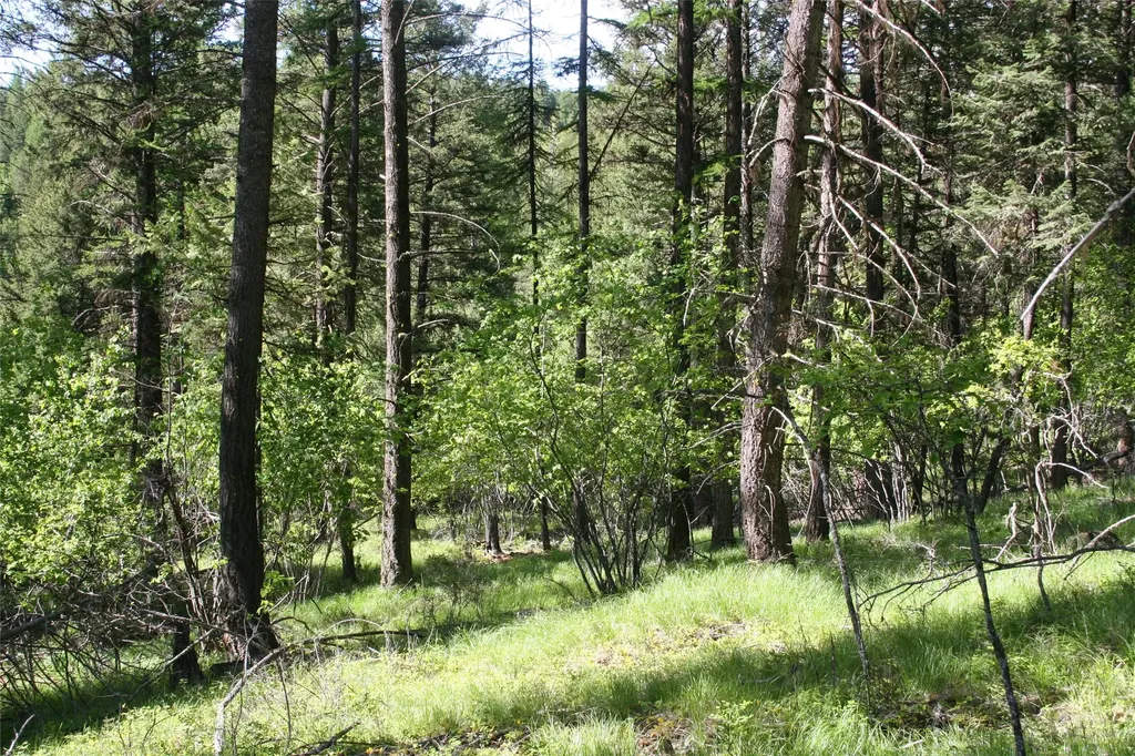 1450 Kienas Road Kalispell MT 59901