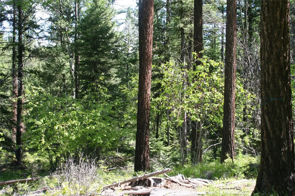1450 Kienas Road Kalispell MT 59901