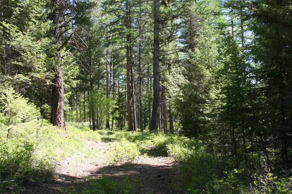 1450 Kienas Road Kalispell MT 59901