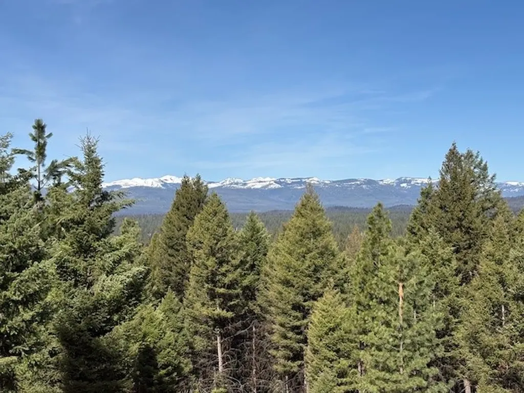 879 Stagecoach Drive Seeley Lake MT 59868