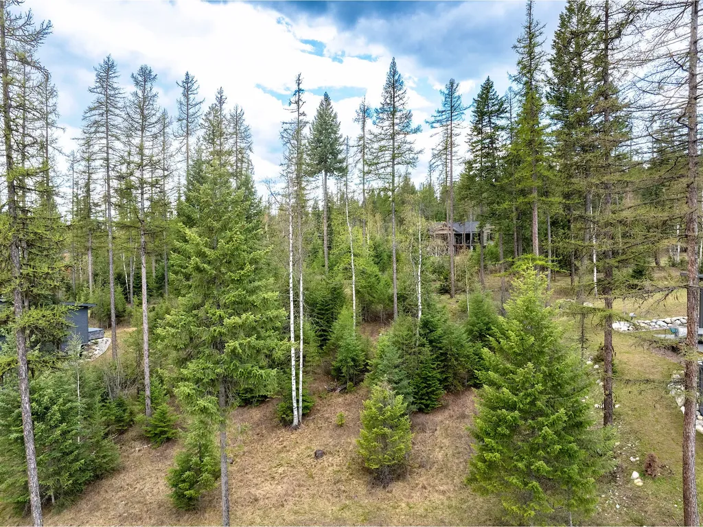 308 Haugen Heights Whitefish MT 59937