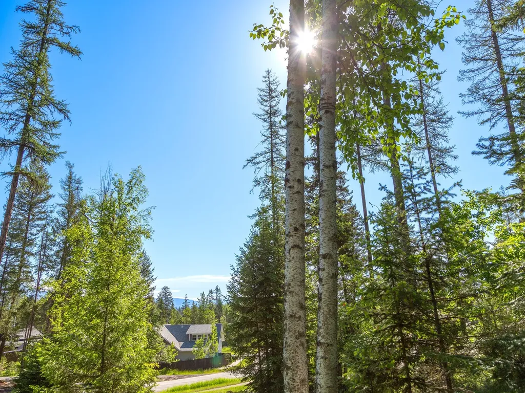 308 Haugen Heights Whitefish MT 59937