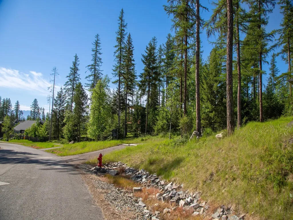 308 Haugen Heights Whitefish MT 59937