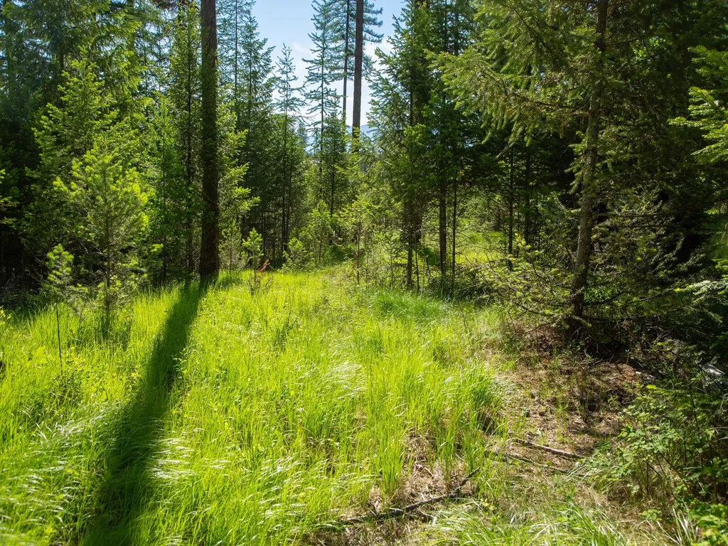 308 Haugen Heights Whitefish MT 59937