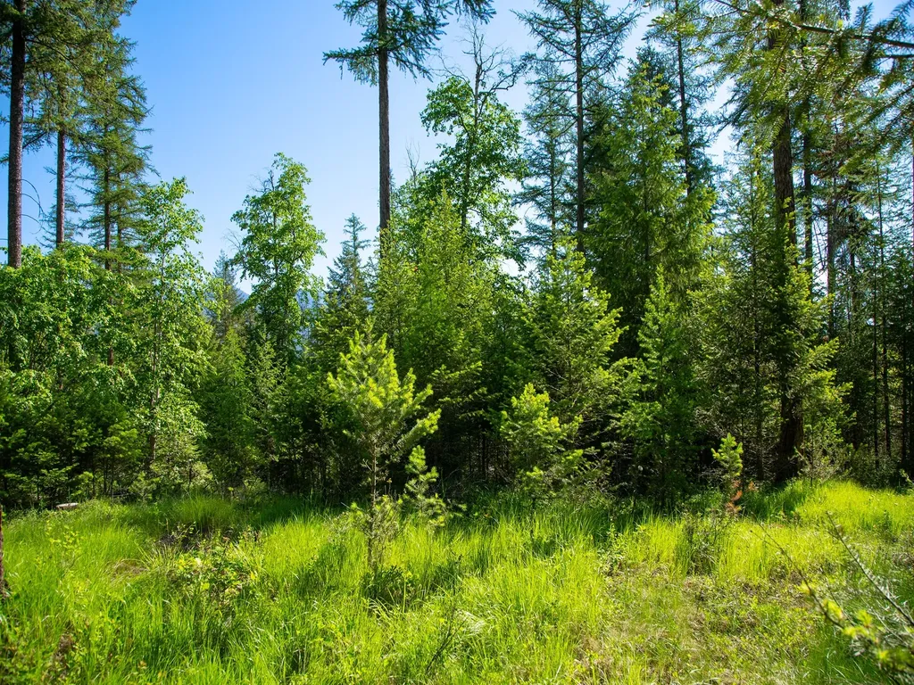 308 Haugen Heights Whitefish MT 59937