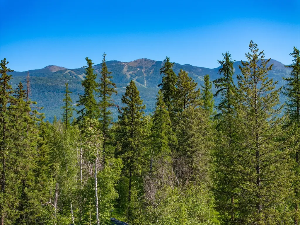 308 Haugen Heights Whitefish MT 59937