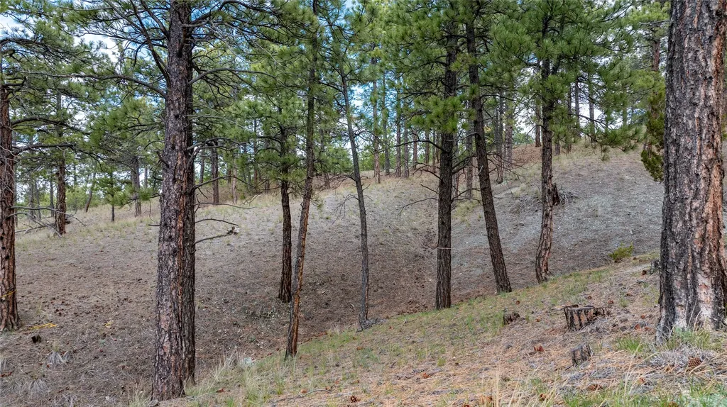 6035 Shawn Drive Helena MT 59602