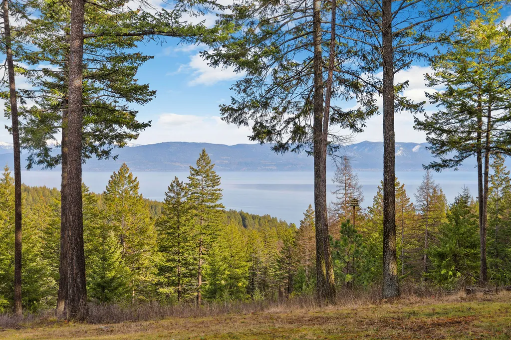 18090 Demersville Wagon Road Lakeside MT 59922
