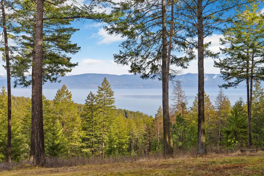 18090 Demersville Wagon Road Lakeside MT 59922