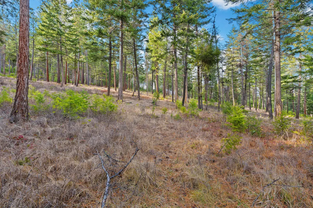 18090 Demersville Wagon Road Lakeside MT 59922