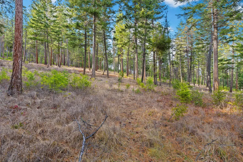 18090 Demersville Wagon Road Lakeside MT 59922