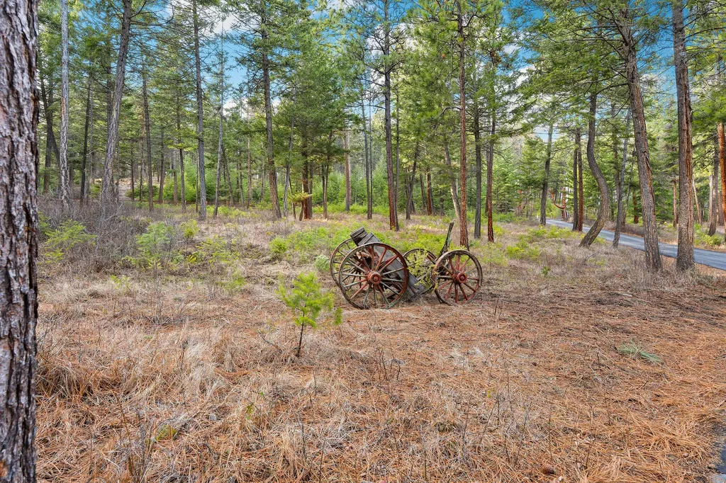 18090 Demersville Wagon Road Lakeside MT 59922